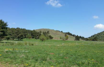 Gîte au pied des volcans d'Auvergne Aydat - Foto 16