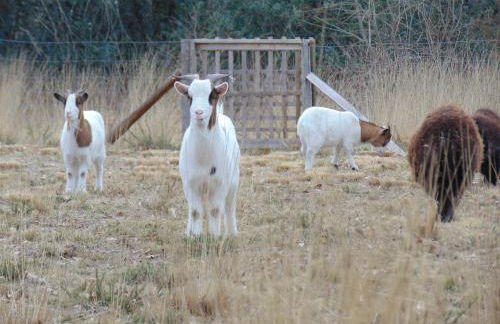 La chambre du Gaille - Foto 22