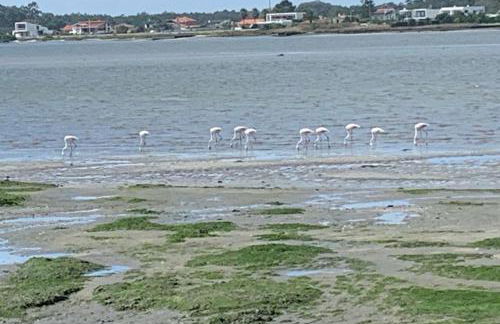 O CANTINHO ENTRE A RIA E O MAR - with hot water pool all year round - Foto 60