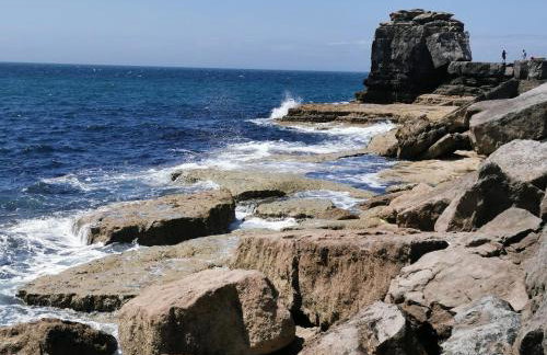 Primrose Cabin - Foto 27