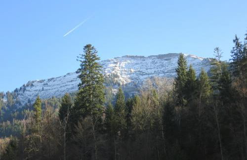 ALLGÄU HAUS - Foto 31