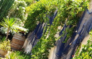 Il Canneto di Selinunte - Foto 70