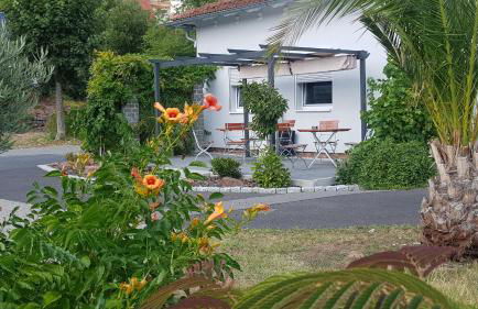 Travelers Home - Foto 17