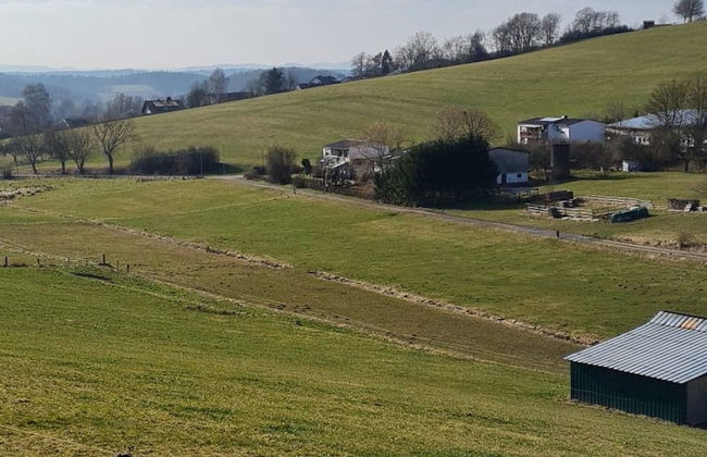 Holiday Home in Willersdorf With Outdoor Sauna - Photo 38