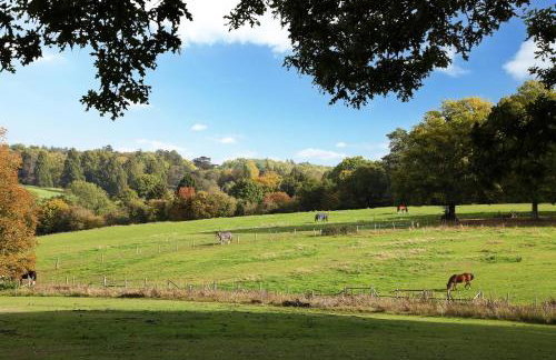 6 Fulmer Chase - Foto 12