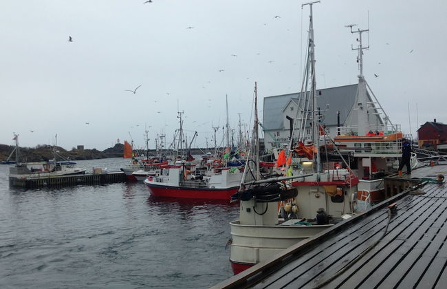 Live Lofoten Fisherman's Cabins - Foto 32