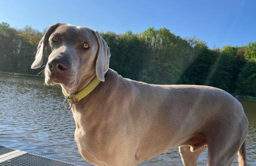 Tawerna Pod Kotwicą pokoje i domy wakacyjne - Foto 31