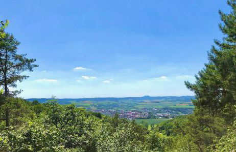 Wyzenborne - Foto 38