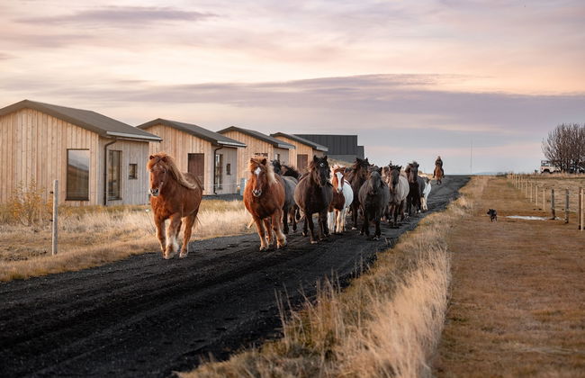 Sleeping with the Horses - Foto 32