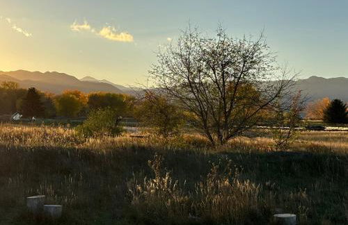A Peaceful Slice of Heaven Near Boulder - Foto 47