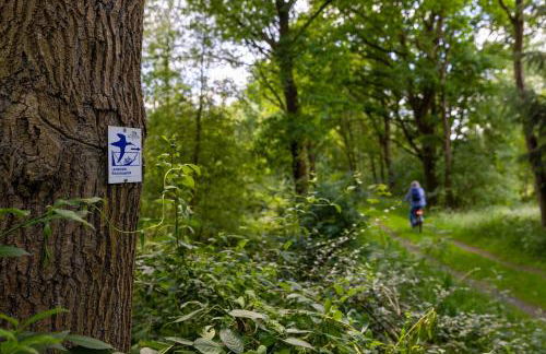 Ferienhaus Liegeplatz Dangast - Foto 31