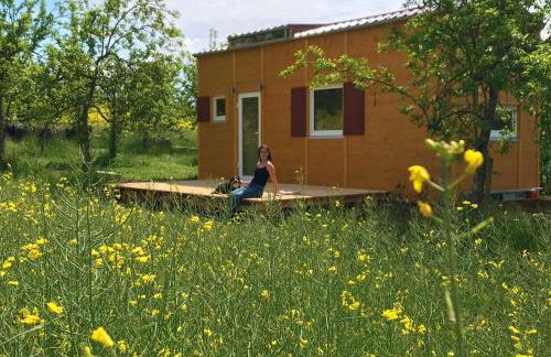 Biolandhof Bodensee - Foto 28