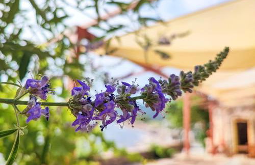 Το Παλιό Αγγειοπλαστείο Τσκαλαριό - Photo 6