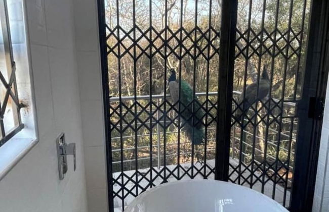 Kings View Exclusive Villas - Foto 59