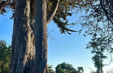 Steps to beach, restaurants, Wharf, Boardwalk, shops, pet friendly, fast Wifi, Lighthouse - Foto 22