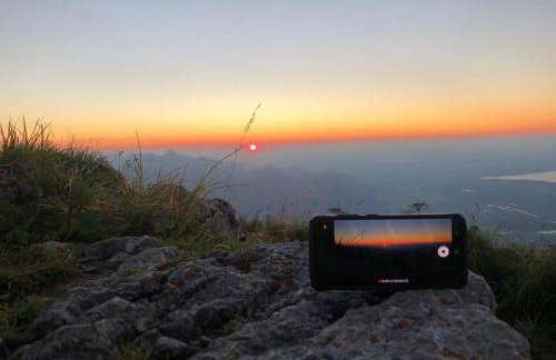 Schauerhof - Photo 18