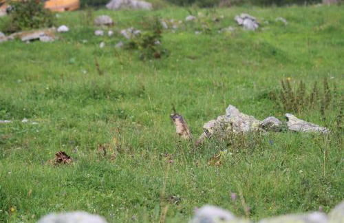 Les Arcs 1800 Ruitor - Foto 7