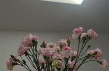 Wohnung Zulic - Foto 6