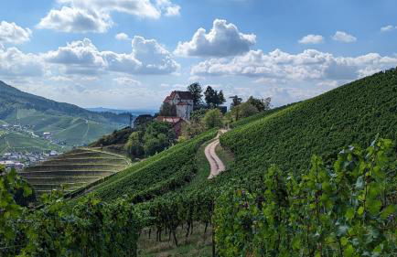 Sauers Schwarzwaldglück - Foto 24