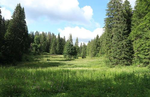 Au Coeur de Prémanon - Foto 39