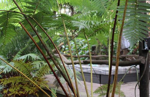 Kilauea iki- Hale Kumu La'au - Foto 13