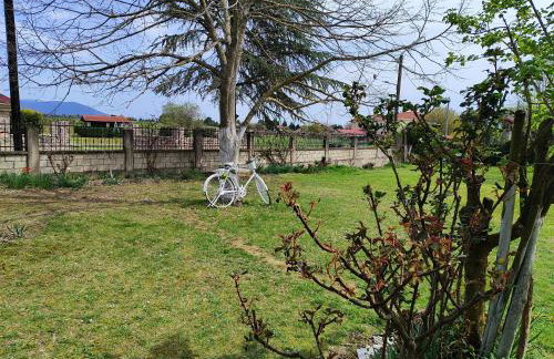 My Flowers - Foto 32