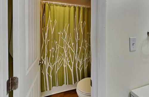 Turtle Sanctuary - Foto 6