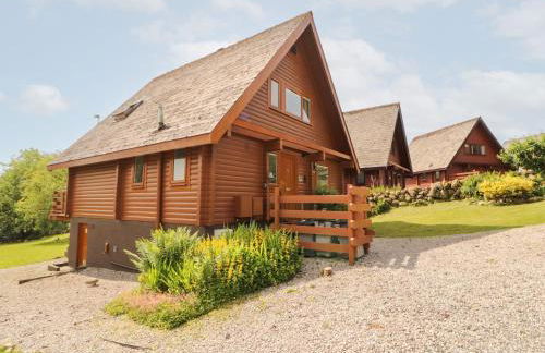 Thistle Dubh "Doo" - Foto 22