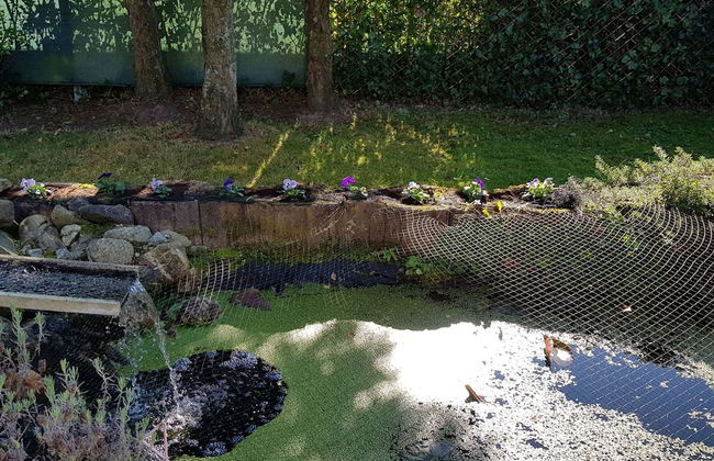 Bright Holiday Home in Lanaken near Lake with Garden - Foto 25