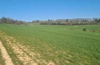 Treetops Studio Apartment - Foto 9