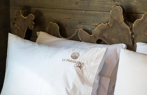 LF Parnassos Chalet - Foto 35