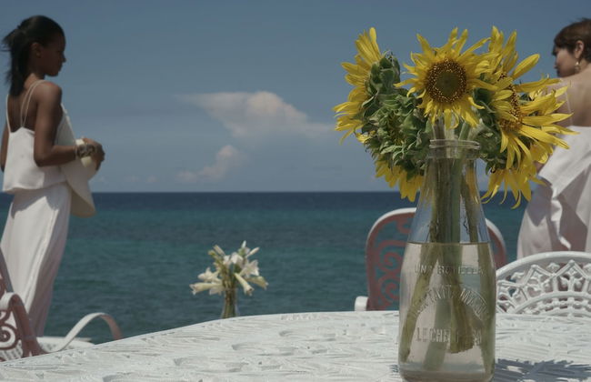 Holiday rental in Havana with swimming pool and terrace - Foto 54