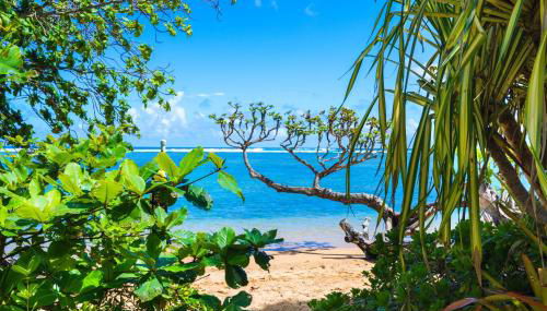 Anini Ohana Hale TVNC#4255 - Foto 1