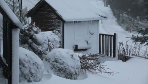 Cota 1500 - Chalé 51 - Penhas da Saúde - Foto 4