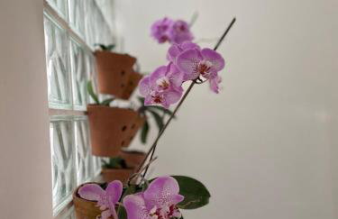 Casa confortável com um quarto - Foto 7