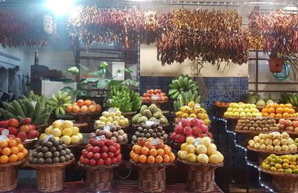 Machico Oasis - Mountainview - Photo 31