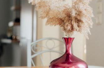 Elvira's houses - Foto 28