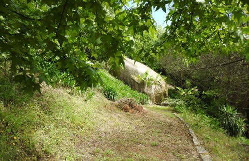 Quinta de S. Vicente 317 - Foto 70