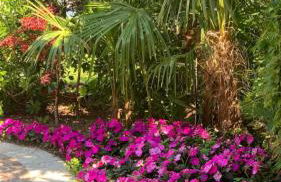 Splendido cottage Lakeview - Photo 28