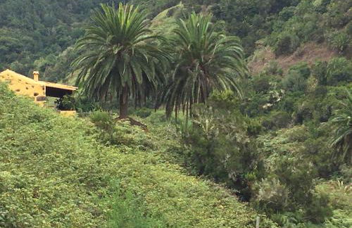 Casa Rural El Rincón de Antonia - Foto 50