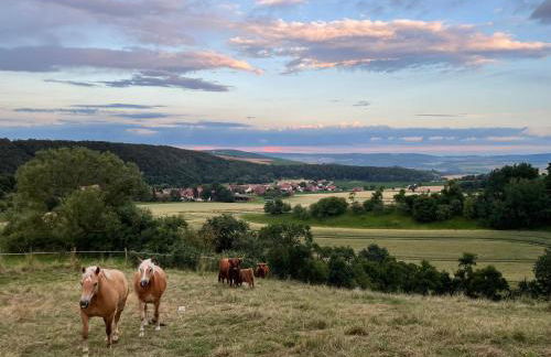 Haus Landlust - Foto 4