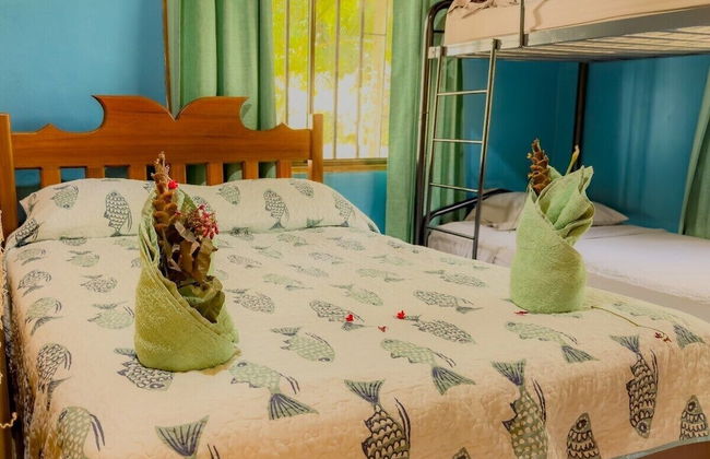 Pura Natura Lodge - Foto 64