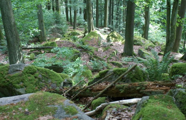 Ferienhaus in Tannesberg for 4 Personen - Foto 19