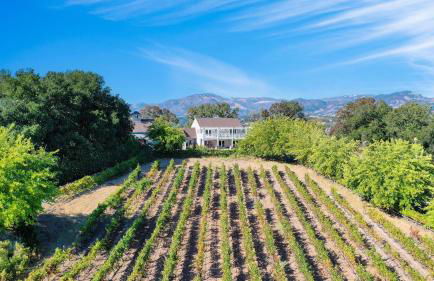 Sonoma Sunshine by Avantstay Countryside Views - Foto 96