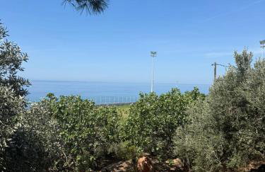 Varvayanni Villa - Foto 45