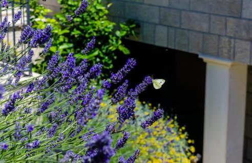 Beautiful Home In Gromaca With Wifi - Photo 15