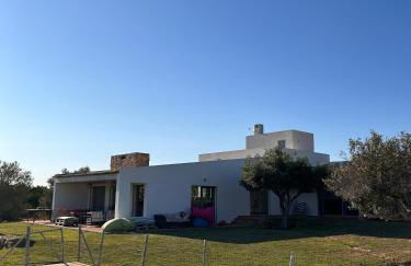 Casa do Cabeçudo - Foto 3