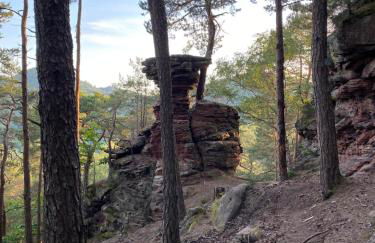 Ferienwohnung Burkhart - Foto 22