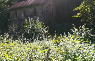 Ferienwohnung Hasenfratz - Foto 17