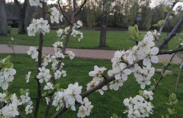 DOMKI w Zaciszu - Foto 25